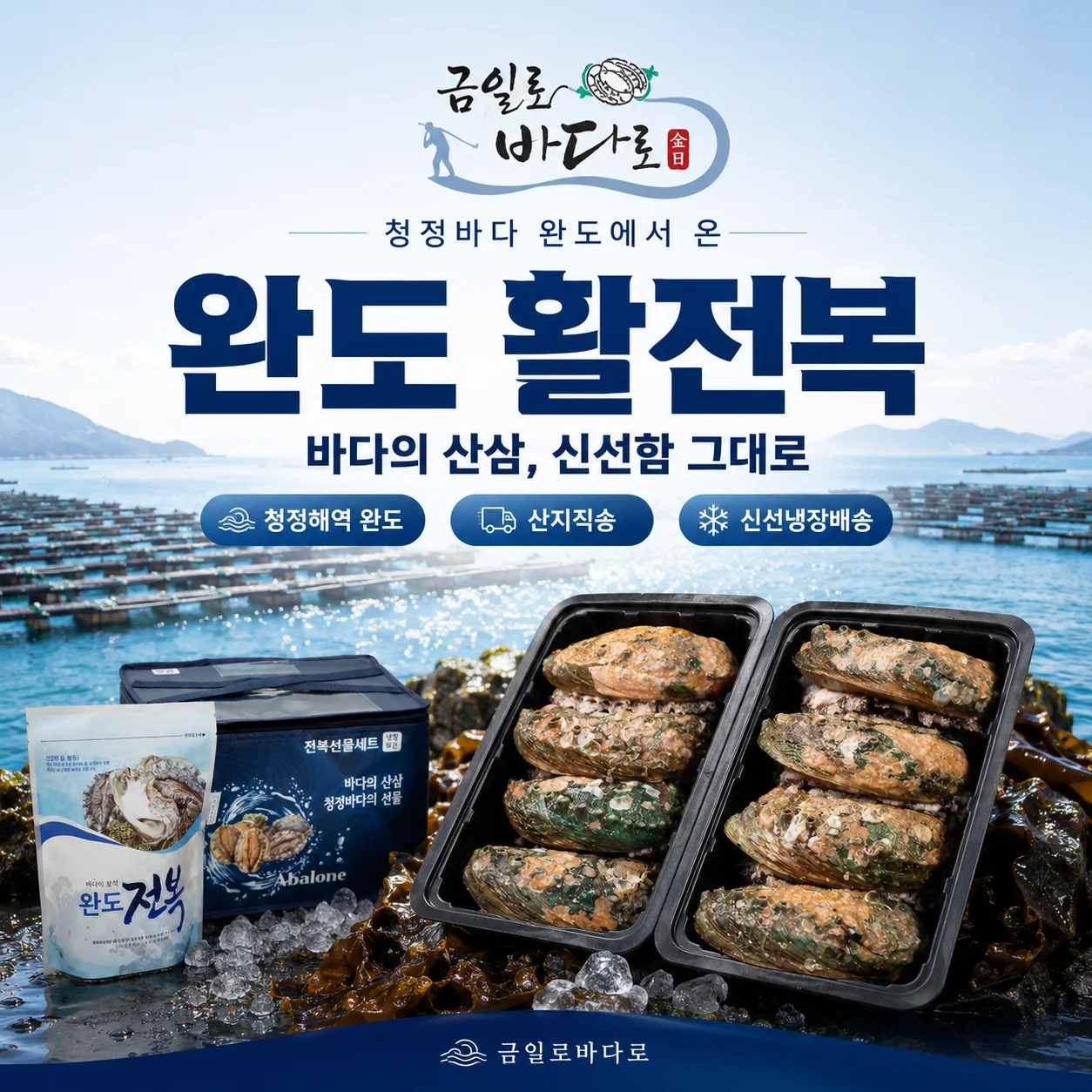 금일로바다로 완도 활전복 메인 상세 콘텐츠