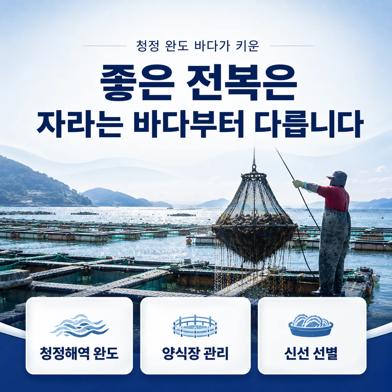 완도 전복 산지와 양식장 관리 콘텐츠