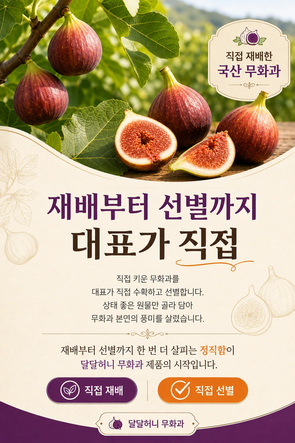 해남 무화과 직접 재배 직접 선별 상세 콘텐츠