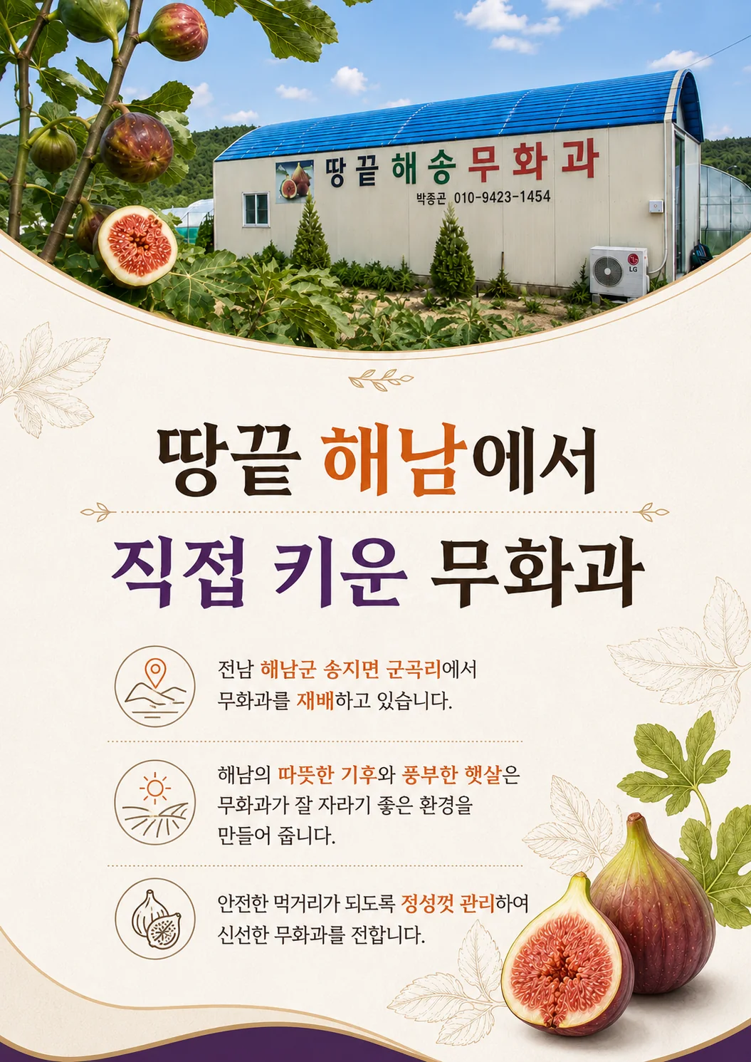 땅끝 해남 무화과 산지 상세 콘텐츠
