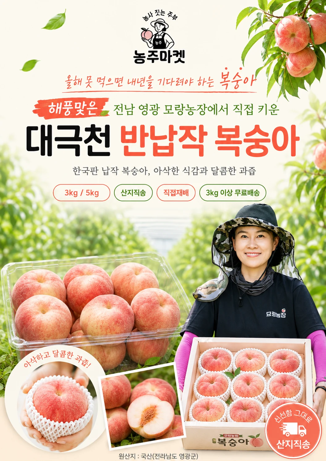 농주마켓 대극천 납작 복숭아 메인 상세 콘텐츠