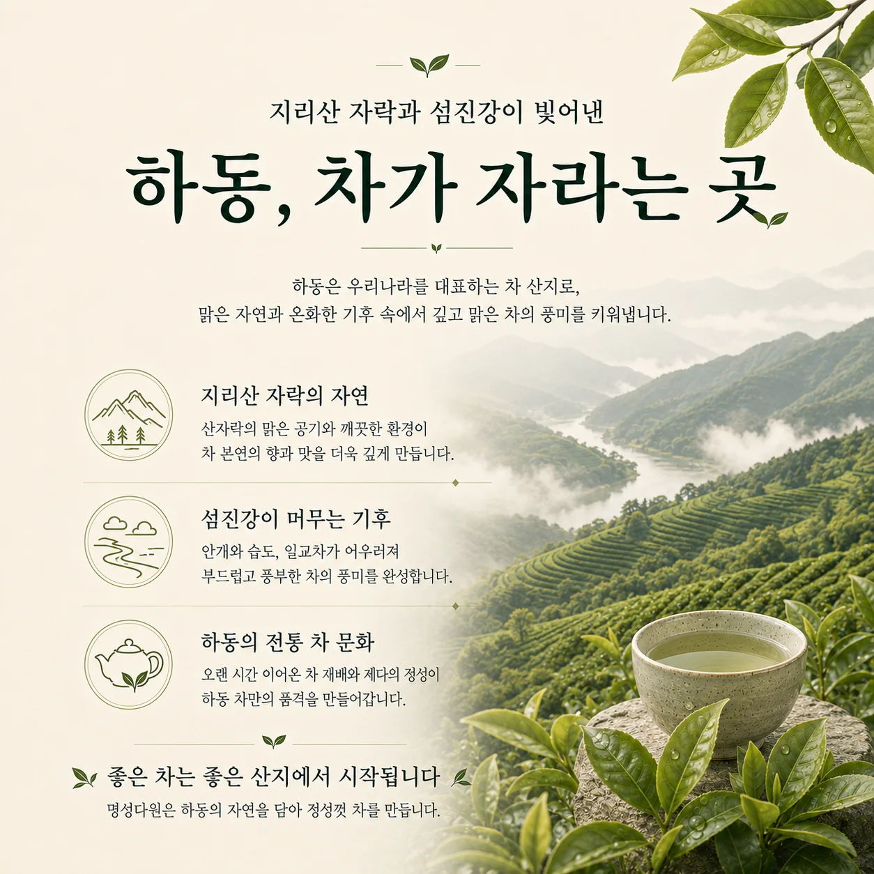 하동 차 산지 스토리 상세 콘텐츠